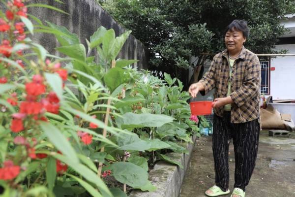 百里杜鹃普底乡迎丰村村民在浇水。（本报记者 苏苇 摄）
