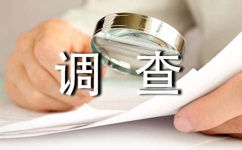 电脑使用调查报告