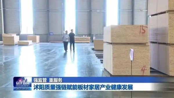 江苏沭阳质量强链赋能板材家居产业健康发展