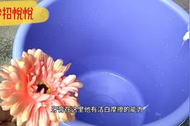 去除白衣服上的黑霉,只需用这一招,快速有效,学会赶紧试试吧视频封面