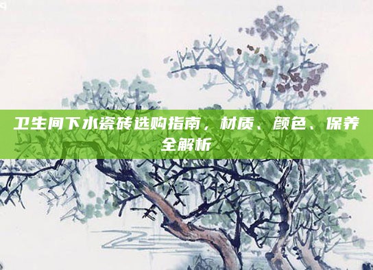 卫生间下水瓷砖选购指南,材质、颜色、保养全解析
