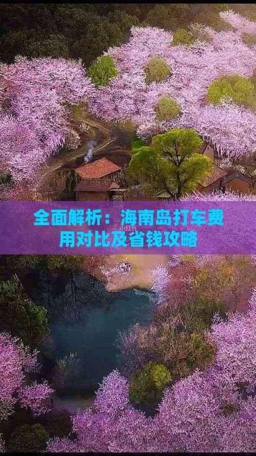 全面解析:海南岛打车费用对比及省钱攻略