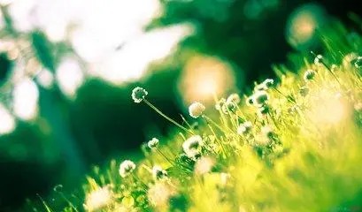 描写安静温柔场景的唯美句子
