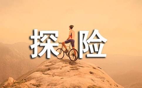 神奇的探险之旅作文300字（精选29篇）