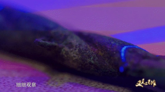 3D扫描数据展示-6.gif