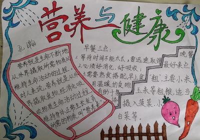 食物与营养的手抄报 关于营养的手抄报