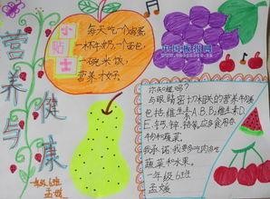 小学生食物营养的手抄报 关于营养的手抄报