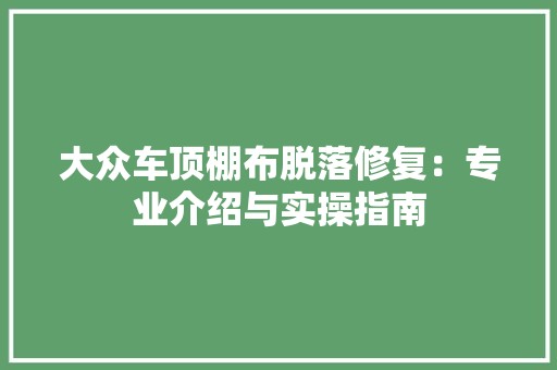 大众车顶棚布脱落修复：专业介绍与实操指南
