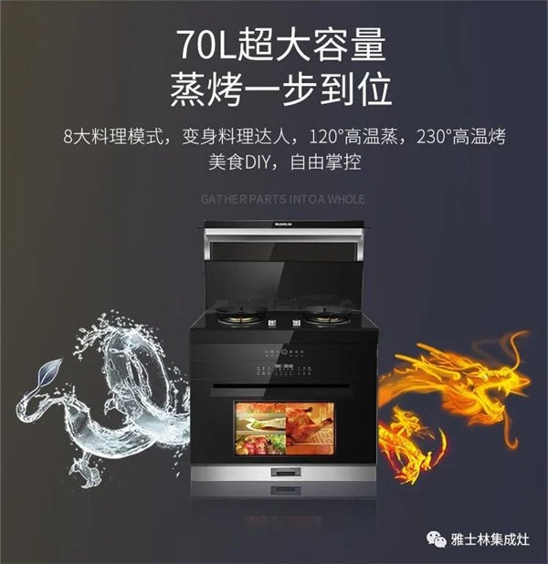 雅士林530