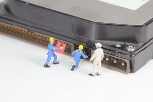 追觅扫地机品牌方，创新驱动，智能清洁的未来