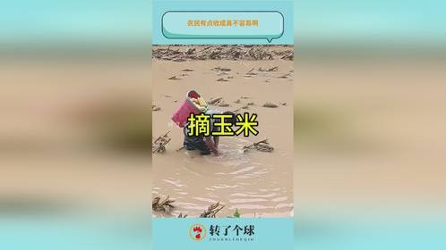 农民有点收成真不容易啊