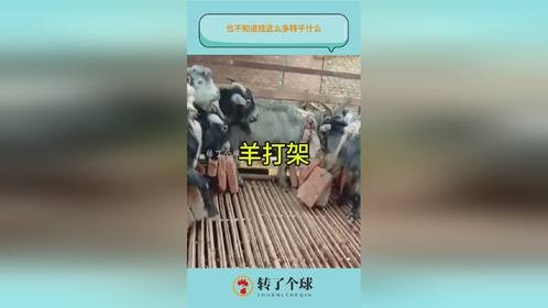 也不知道挂这么多转干什么