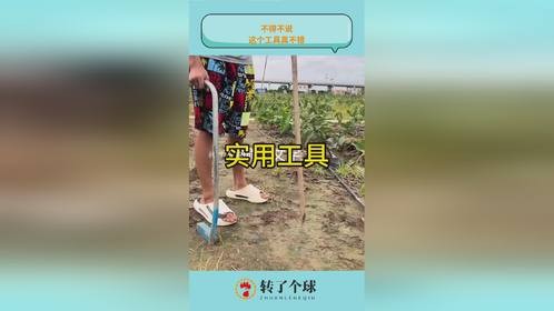 不得不说，这个工具真不错
