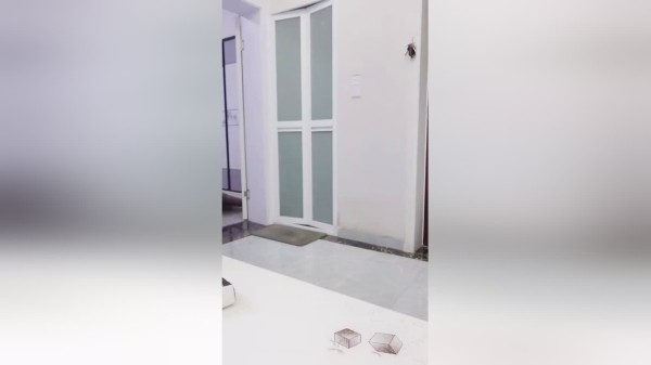 一块钱就想买狗窝想多了吧
