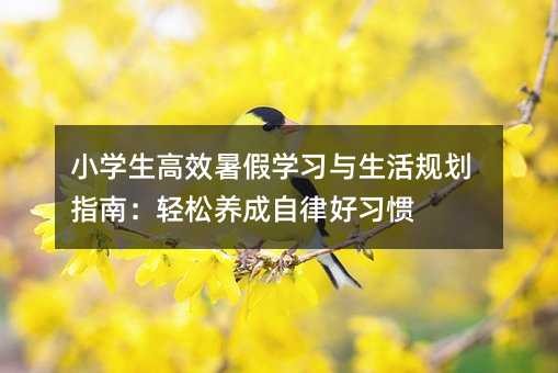 小学生高效暑假学习与生活规划指南:轻松养成自律好习惯
