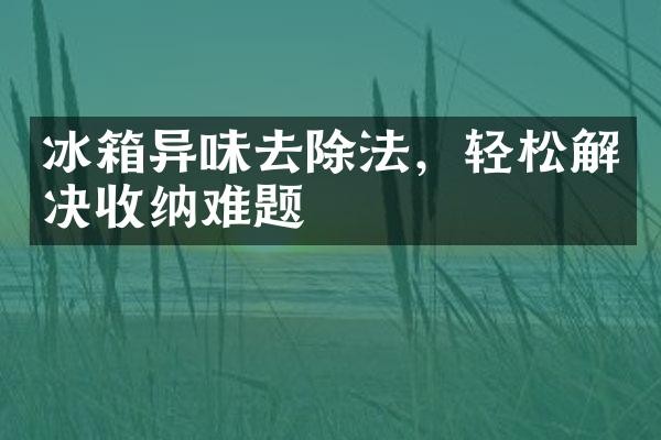 冰箱异味去除法，轻松解决收纳难题