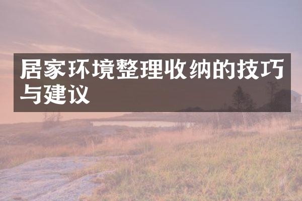 居家环境整理收纳的技巧与建议
