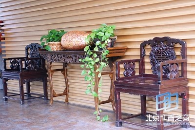 用植物装饰居室的设计方法