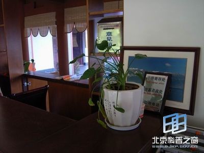 用植物装饰居室的设计方法
