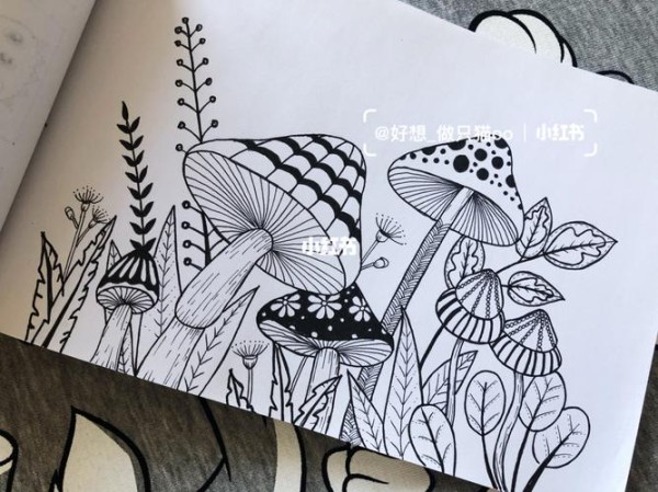 39针管笔蘑菇手绘装饰画简笔画插画针管笔手绘知识艺术