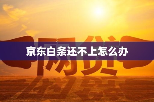 京东白条还不上怎么办