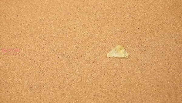 6种快速清除双面胶的方法 教你怎么去除双面胶
