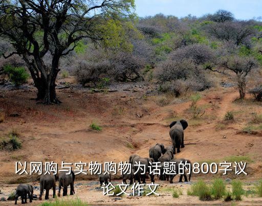 以网购与实物购物为话题的800字议论文作文