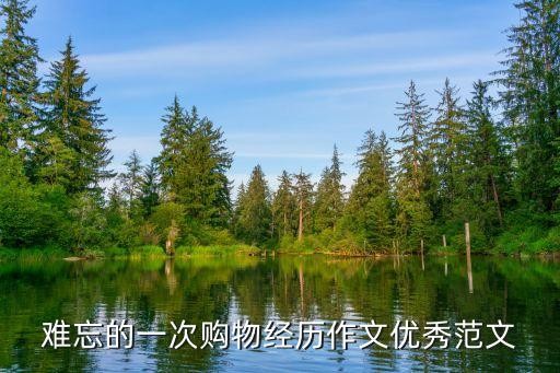 难忘的一次购物经历作文优秀范文