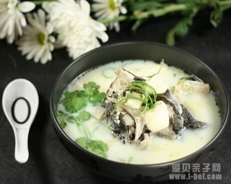 营养午餐之鲫鱼汤