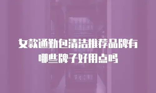 女款通勤包清洁推荐品牌有哪些牌子好用点吗