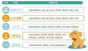 “宠物健康秘籍，活动反思必看！”