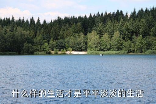 什么样的生活才是平平淡淡的生活