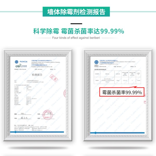 除霉剂墙体墙面去霉点霉斑清洁剂白墙壁纸剂墙体除霉剂