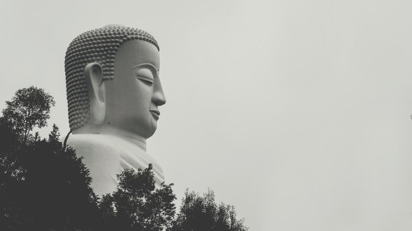 一句禅语，人生次第花开，探索禅宗智慧与生活哲学
