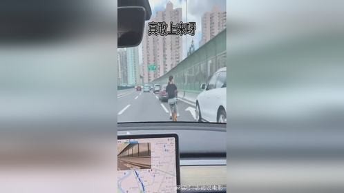 谁家的仙女啊，能不能带走啊
