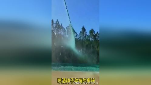 喷洒种子种植的奥秘