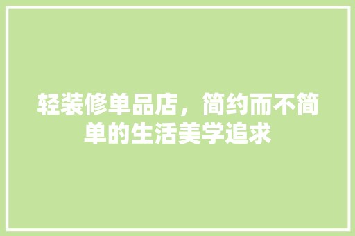 轻装修单品店，简约而不简单的生活美学追求 现代风格装饰