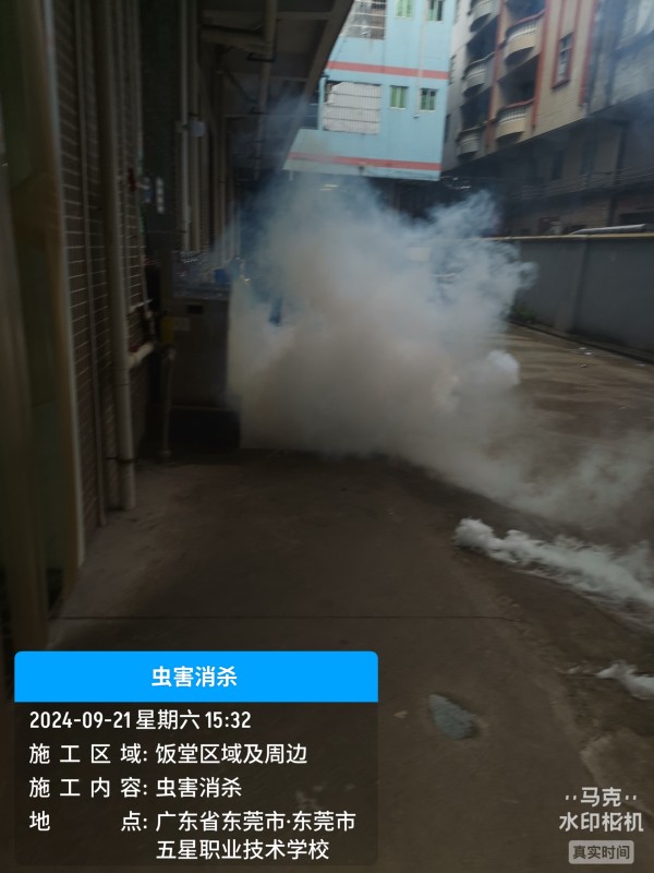 海珠白蚁公司 宿舍杀臭虫灭苍蝇