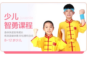 新精武少儿武术新精武少儿武术腾飞培训课程图片