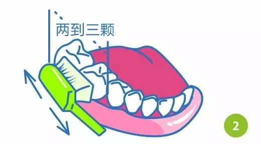 巴氏刷牙法步骤图解2