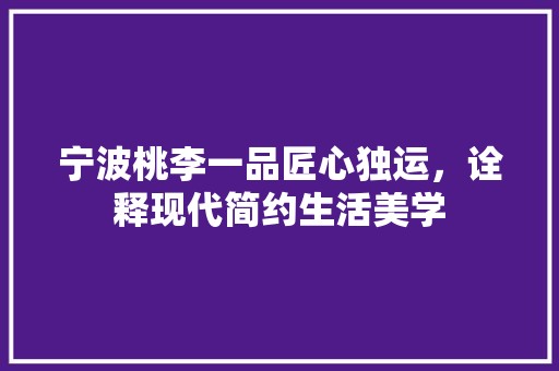 宁波桃李一品匠心独运，诠释现代简约生活美学 厨房