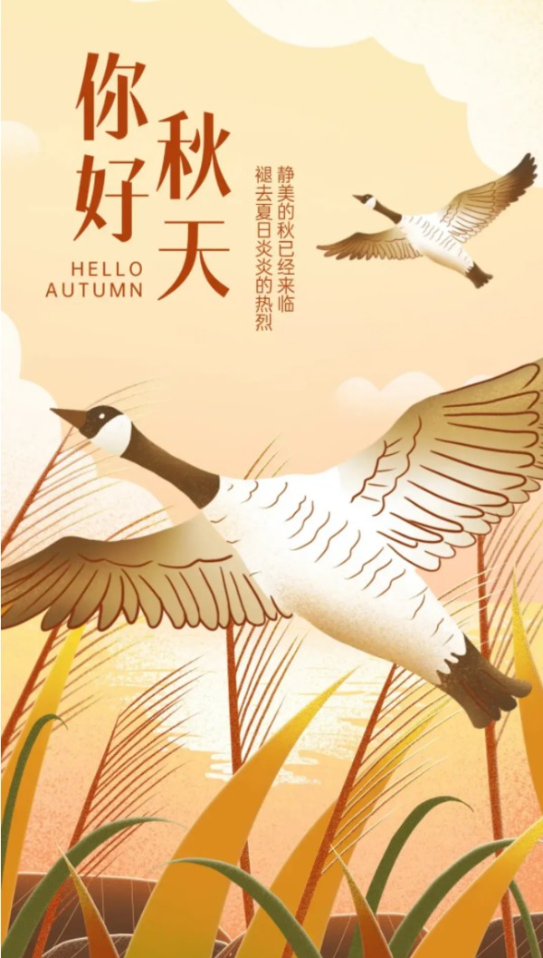2024适合秋天发文案的图片唯美图集