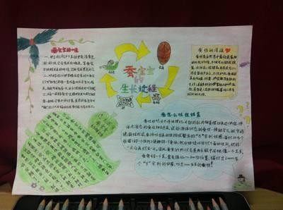 婴儿生长监测的手抄报 手抄报图片大全集