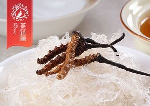 燕窝烹饪后存放指南：更佳冷藏时间与保存技巧解析