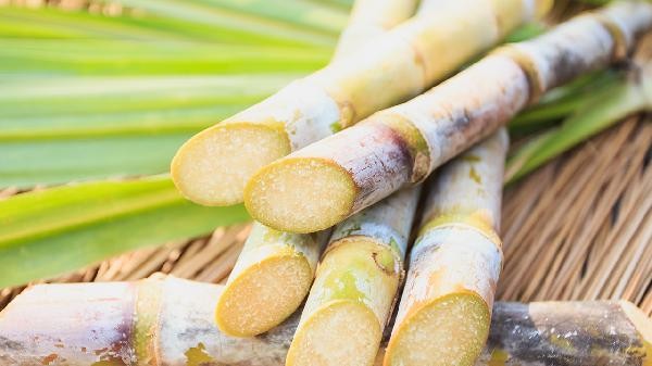 缓解压力的食物和水果是什么