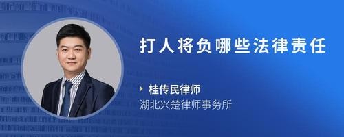 打人将负哪些法律责任
