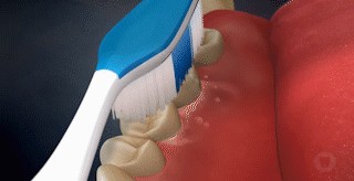 3.gif
