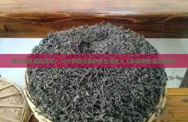 茶叶渣不要扔有十大妙用