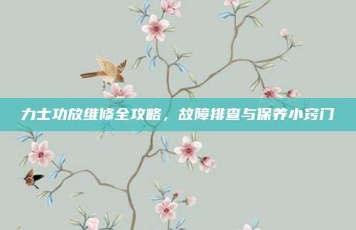 力士功放维修全攻略,故障排查与保养小窍门