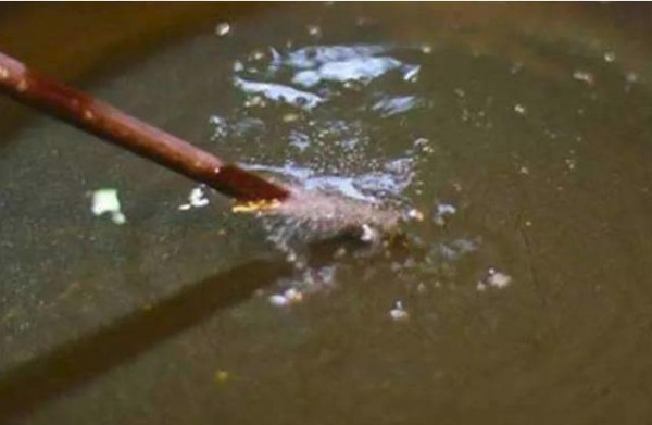 “清淡饮食”需荤腥不吃、油盐不进？营养专家：五项原则不能丢！